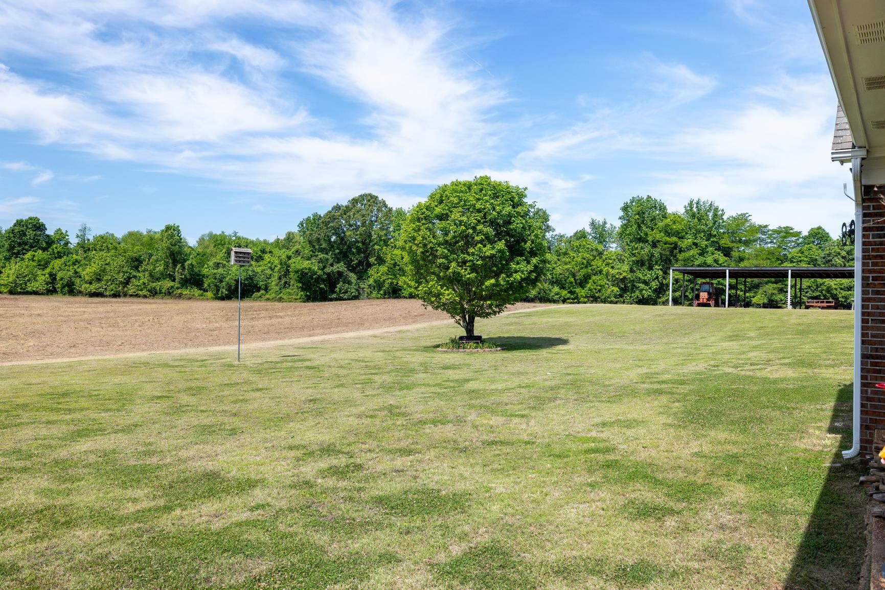 8539 Campground Road Drummonds, TN 38023 - Photo 36 of 38 a view of a park