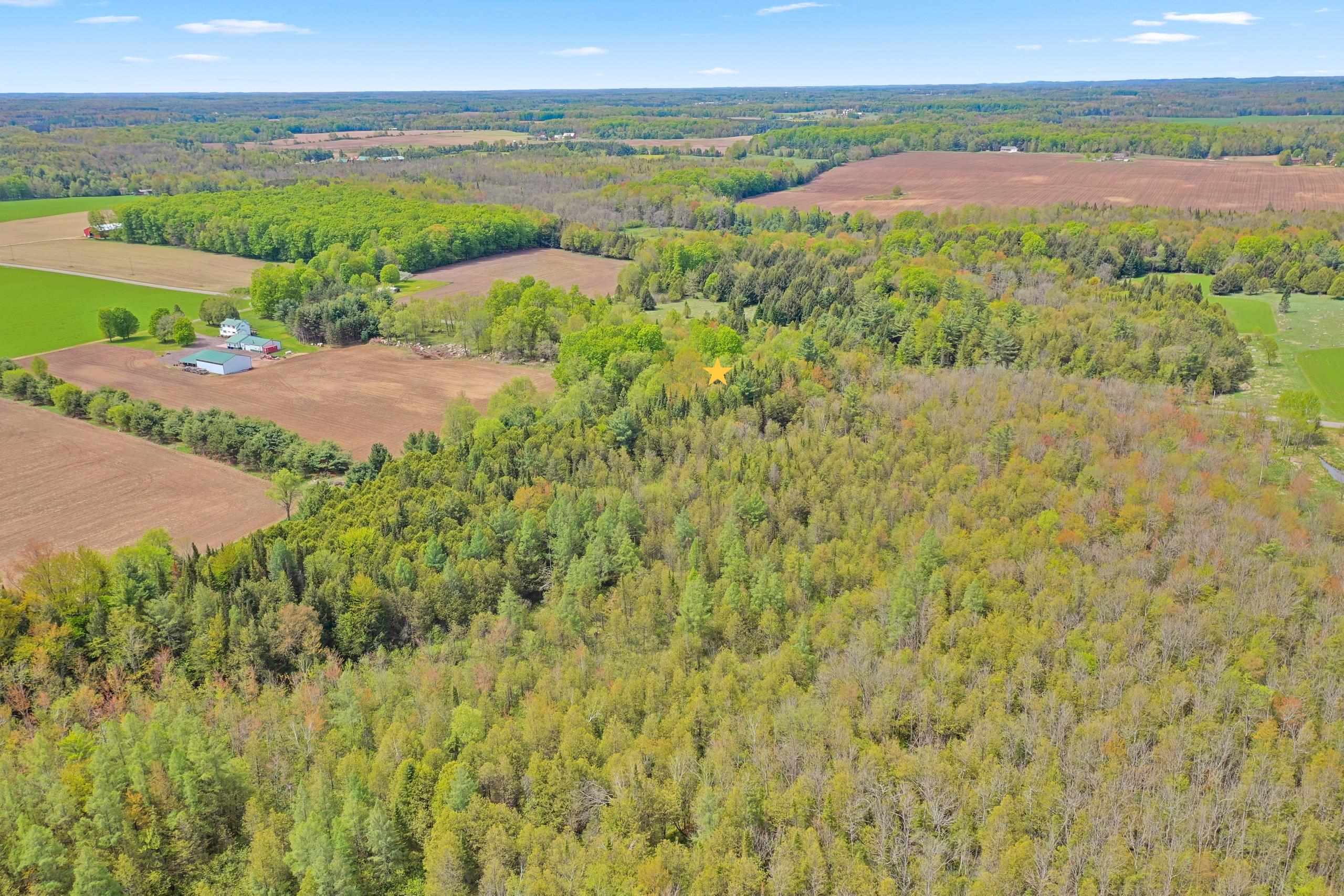N9968 Hemlock Road Birnamwood, WI 54414 - Photo 49 of 52