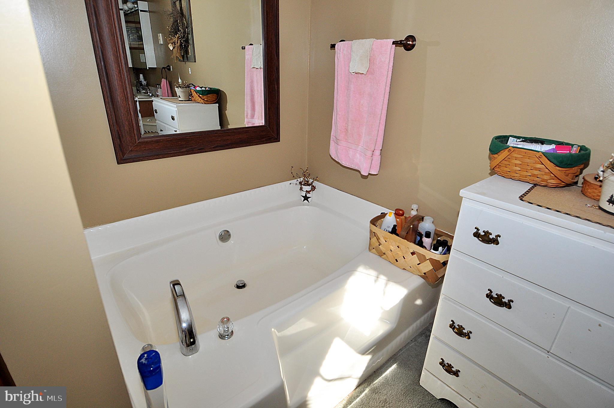 475 Morton Grove Road Berkeley Springs, WV 25411 - Photo 15 of 52 Master Tub