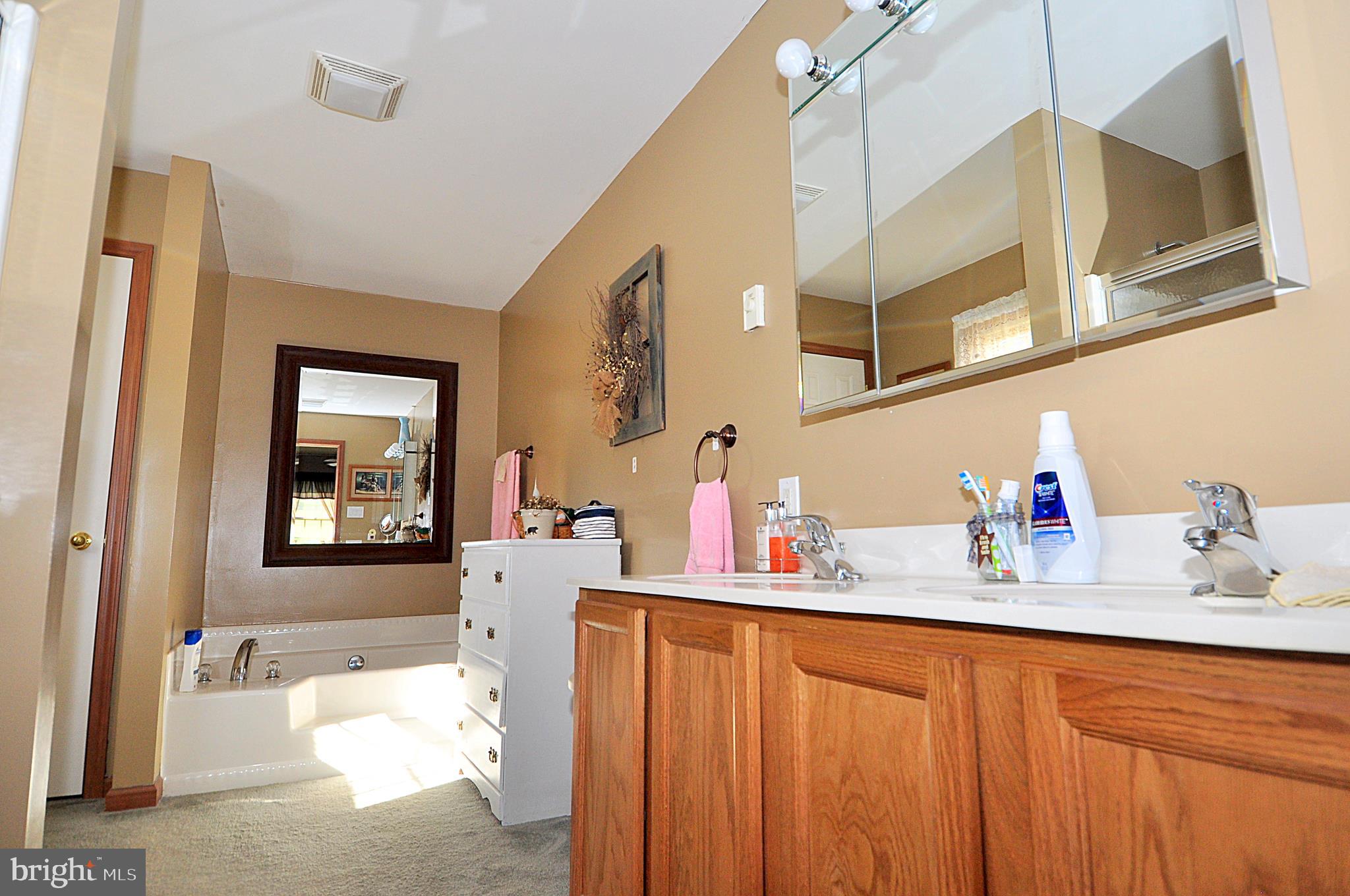 475 Morton Grove Road Berkeley Springs, WV 25411 - Photo 17 of 52 Master Bathroom