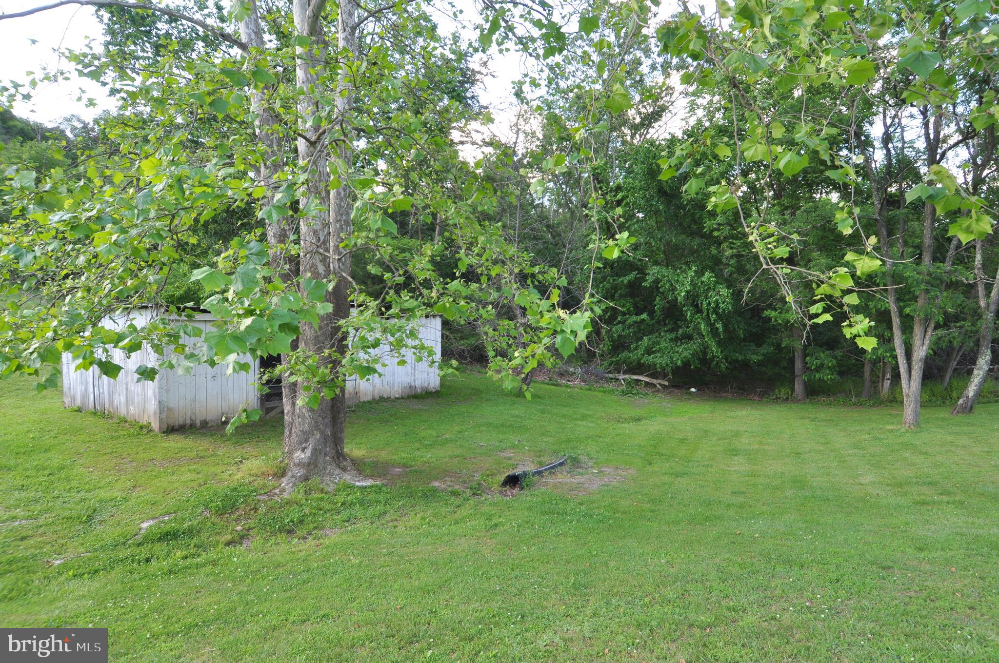 475 Morton Grove Road Berkeley Springs, WV 25411 - Photo 39 of 52 Yard / Shed