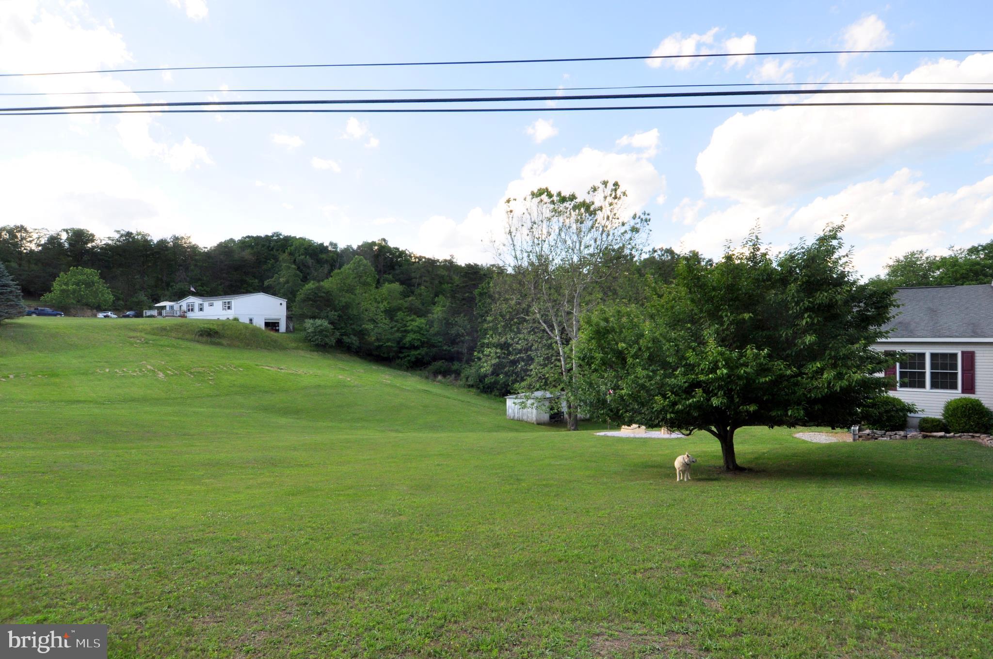 475 Morton Grove Road Berkeley Springs, WV 25411 - Photo 43 of 52 Yard