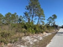 Tbd Valimar Road New Port Richey, FL 34654 - Photo 3 of 5