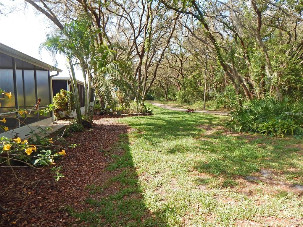 5925 Sandhill Ridge Drive Lithia, FL 33547 - Photo 9 of 35