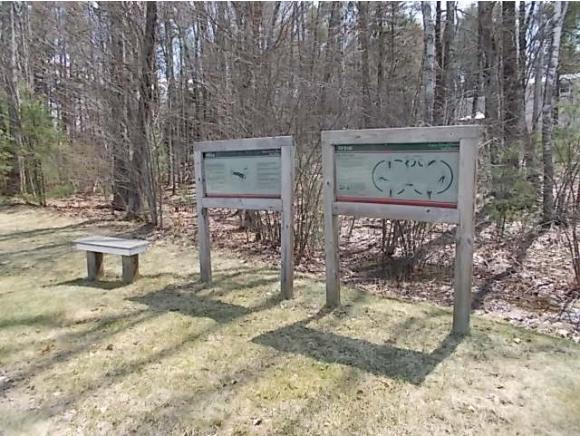 22 Sawmill Ridge Sandown, NH 03873 - Photo 27 of 28