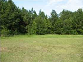 1511 Independent School Road Reevesville, SC 29471 - Photo 3 of 4 Additional Photo