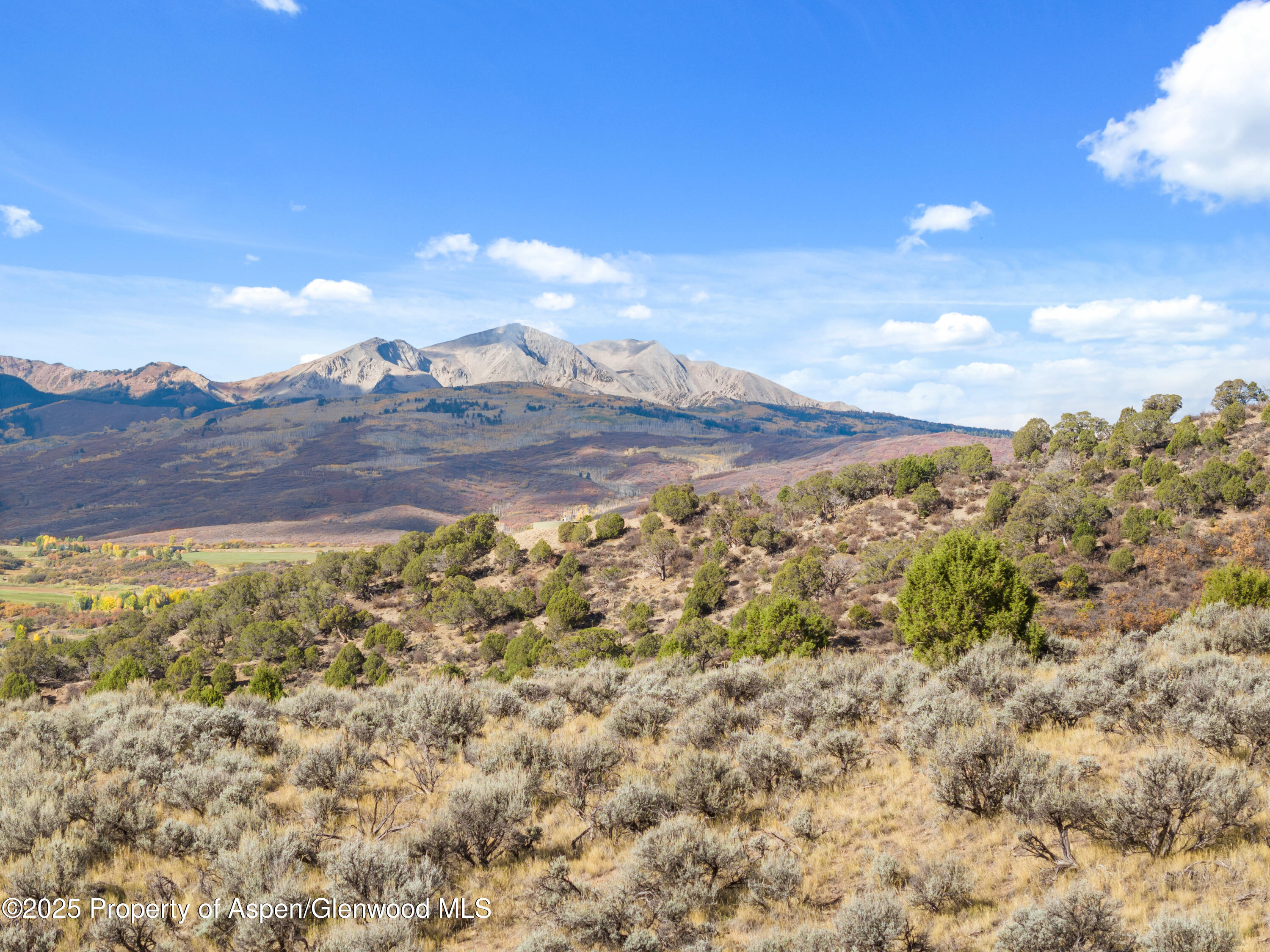 189 Light Hill Road Snowmass, CO 81654 - Photo 44 of 44 a view of a yard with mountains in the background