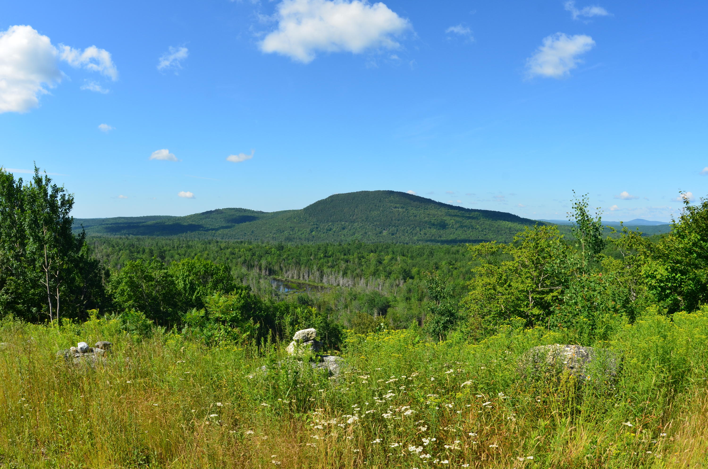 0 Our Camp Road Orland, ME 04472 - Photo 5 of 13 DSC_8239