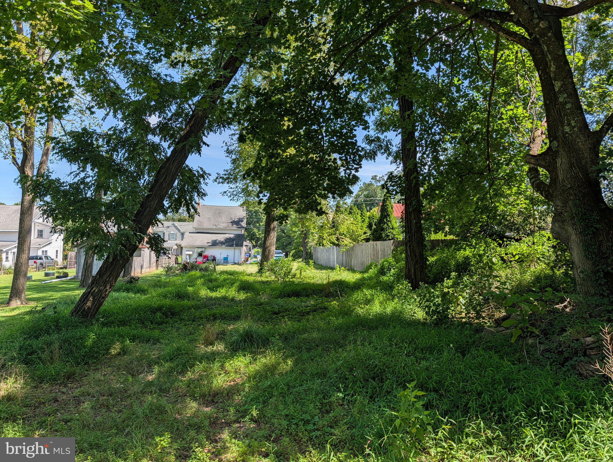 425 Juliustown Pemberton Road Columbus, NJ 08022 - Photo 25 of 26 Lush greenery under towering trees.