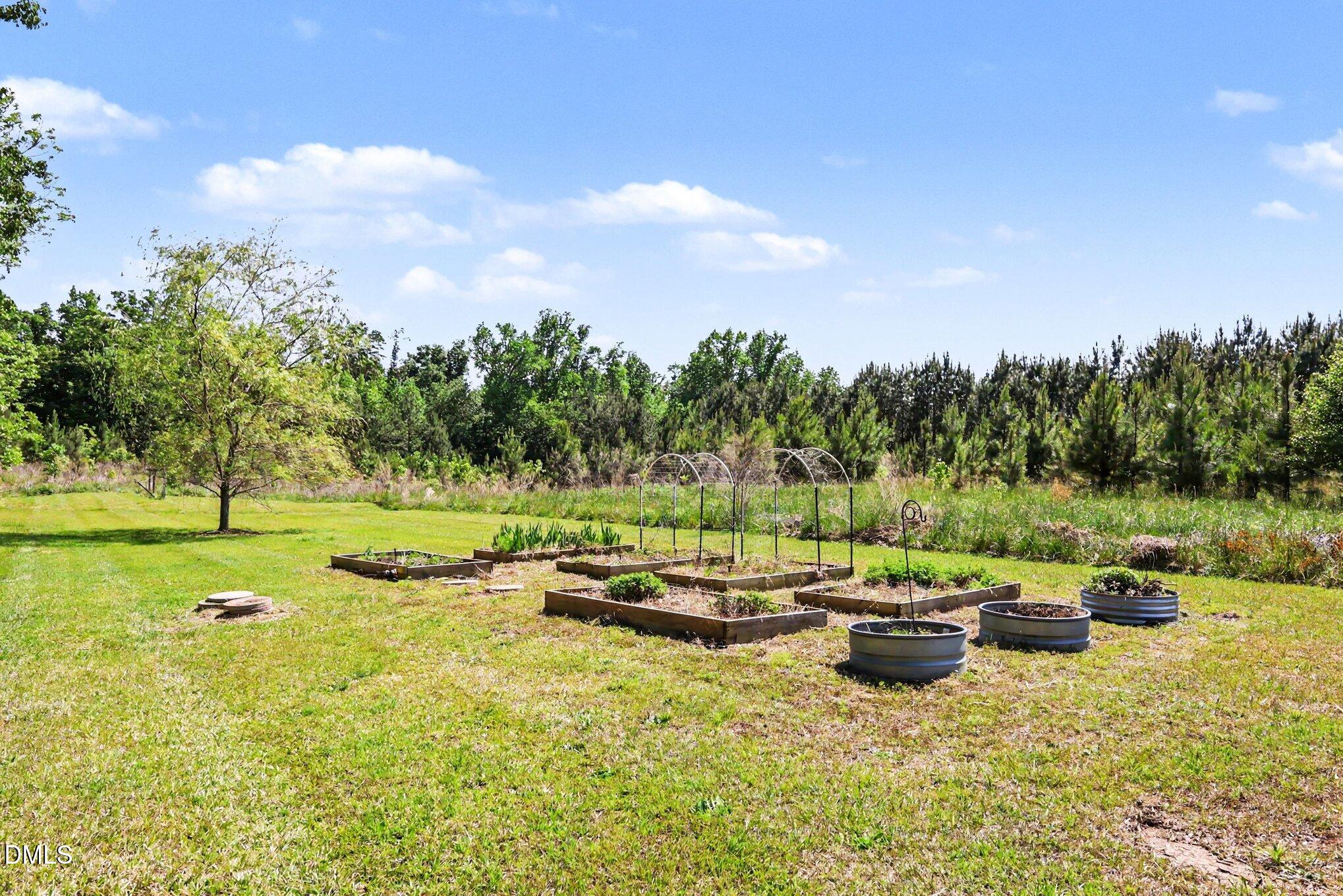 779 Steel Bridge Road Sanford, NC 27330 - Photo 32 of 37 Raised garden