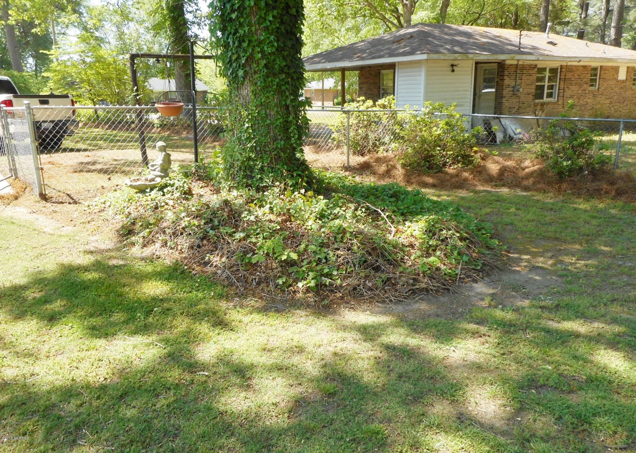 134 Falcon Road Rocky Mount, NC 27801 - Photo 8 of 31 Backyard scenes...