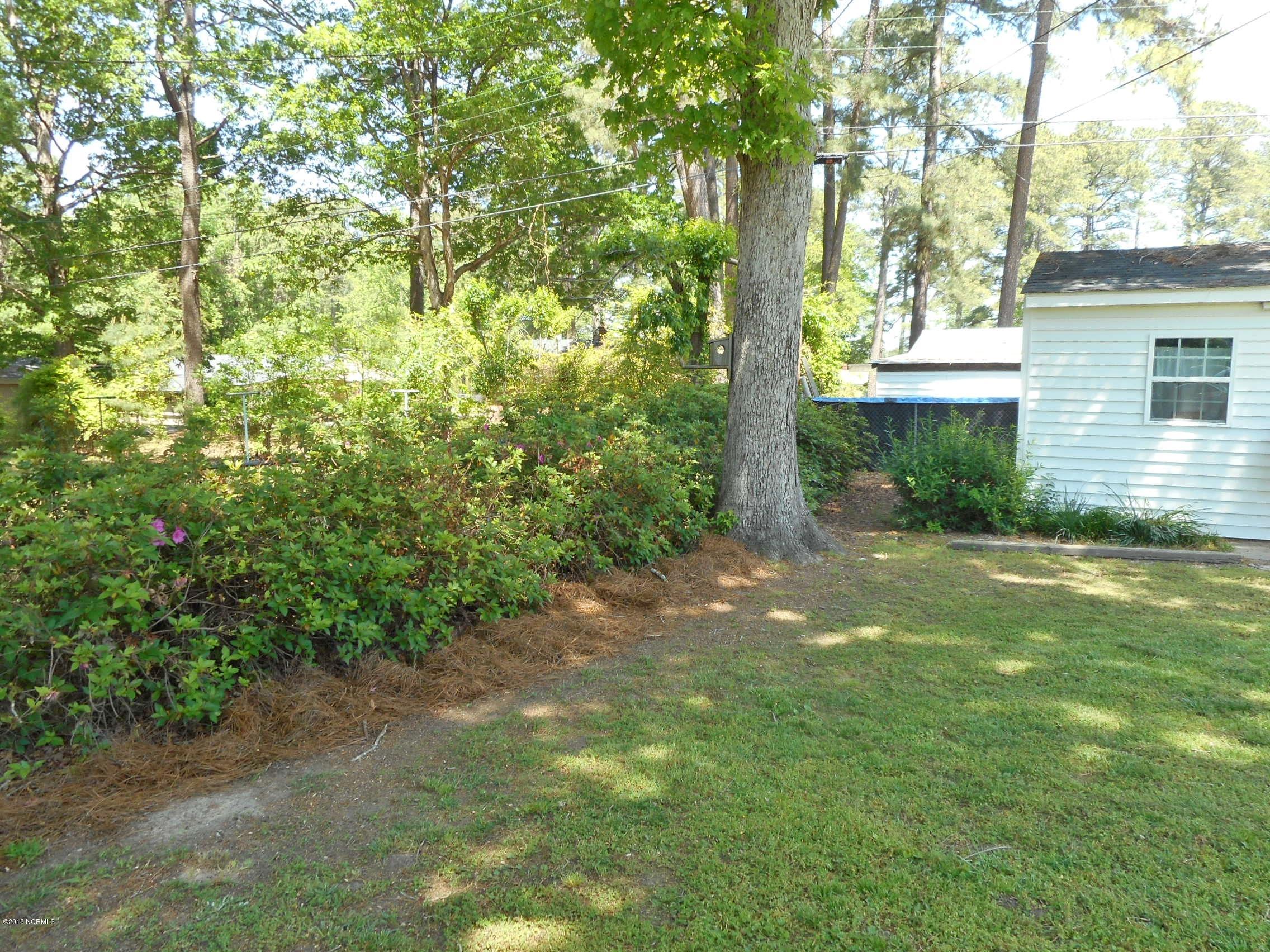 134 Falcon Road Rocky Mount, NC 27801 - Photo 9 of 31 Backyard scenes...