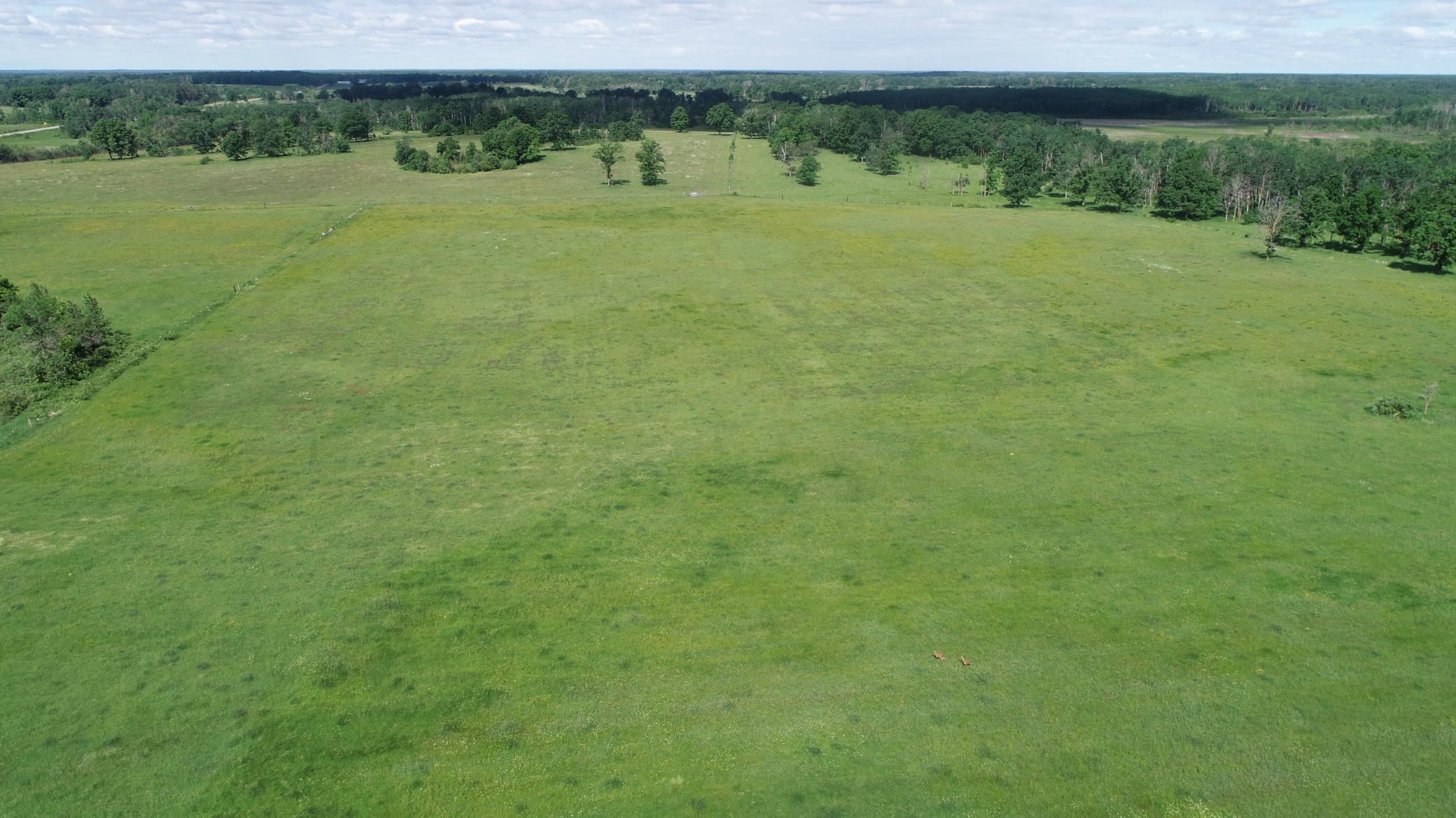 6172 76th Street Southwest Motley, MN 56466 - Photo 8 of 23