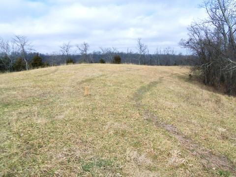 2 Finnell Pike Georgetown, KY 40324 - Photo 3 of 4 Photo 3
