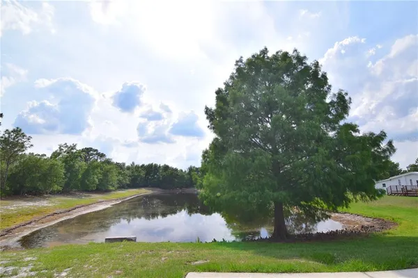 a view of a lake from a yard
