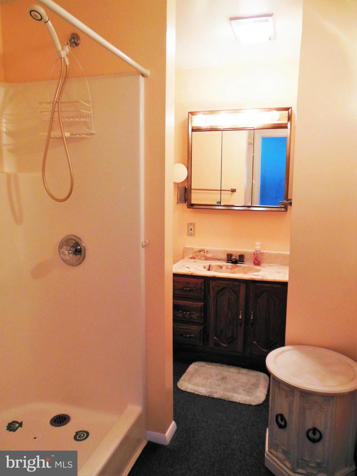8611 Cottington Road Baltimore, MD 21236 - Photo 23 of 30 Bath