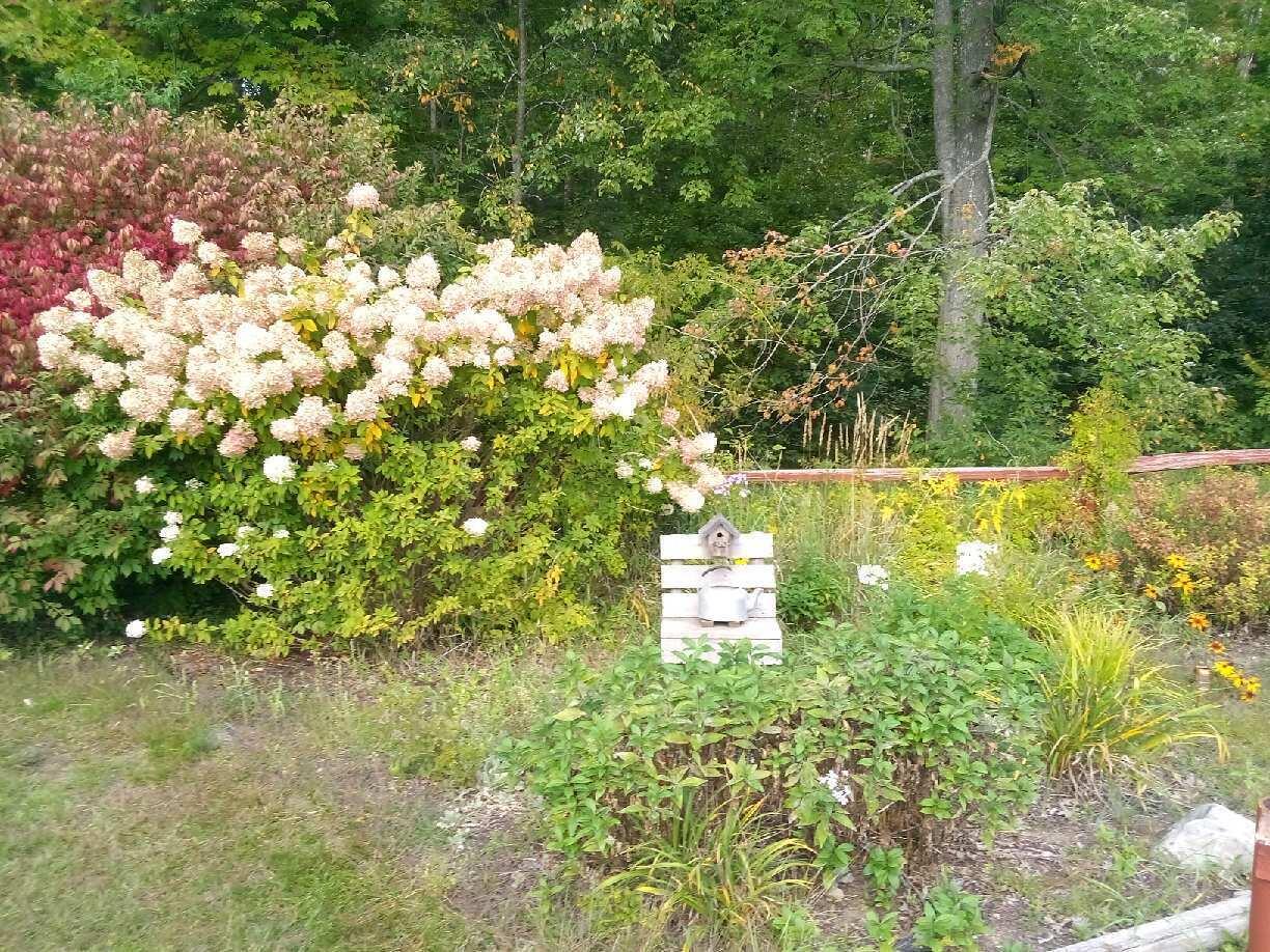 2515 Timberlane Road Harrison, MI 48625 - Photo 11 of 26 Gallery Image 11