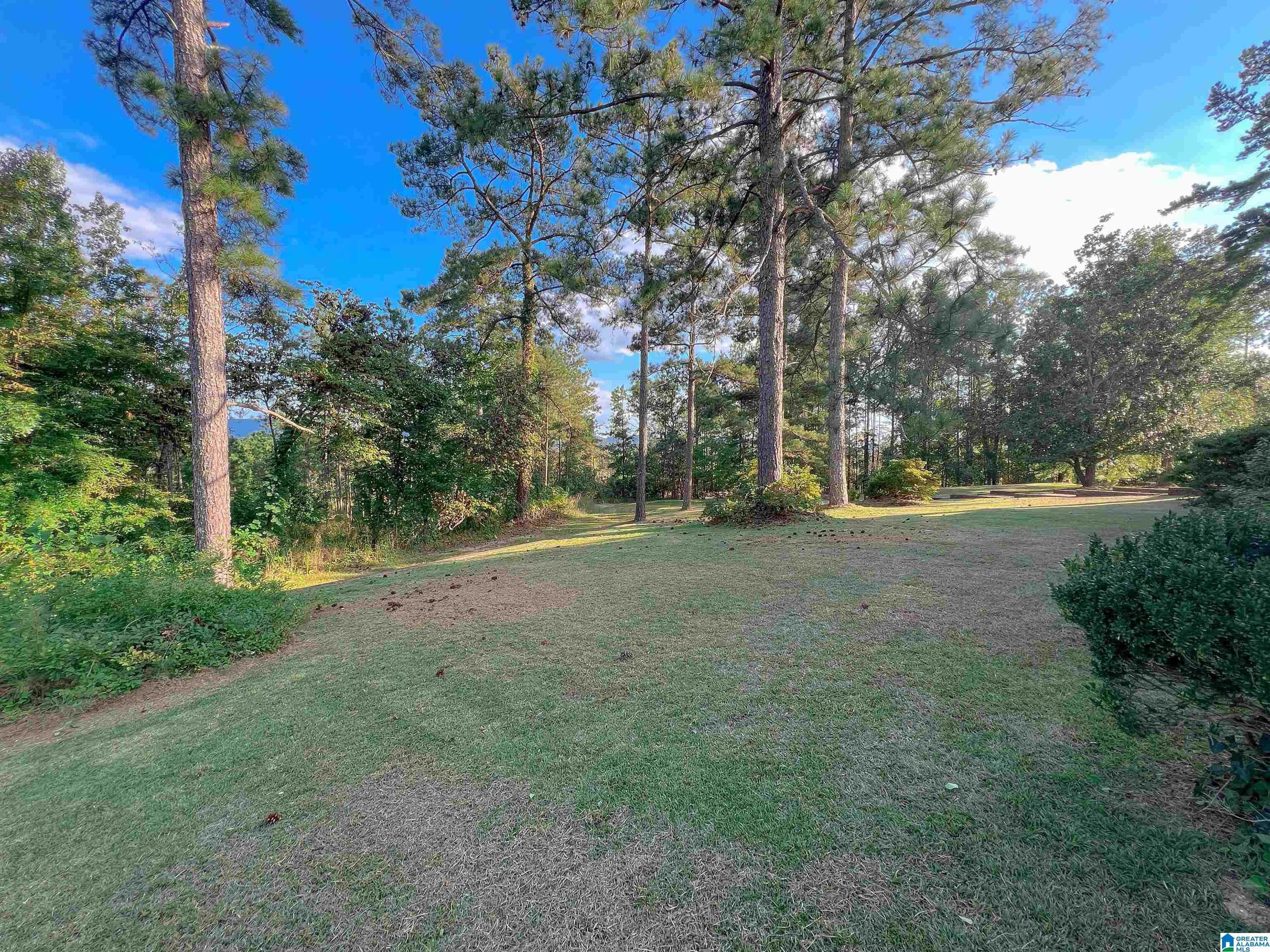 201 Cave Hill Road Weaver, AL 36277 - Photo 57 of 78