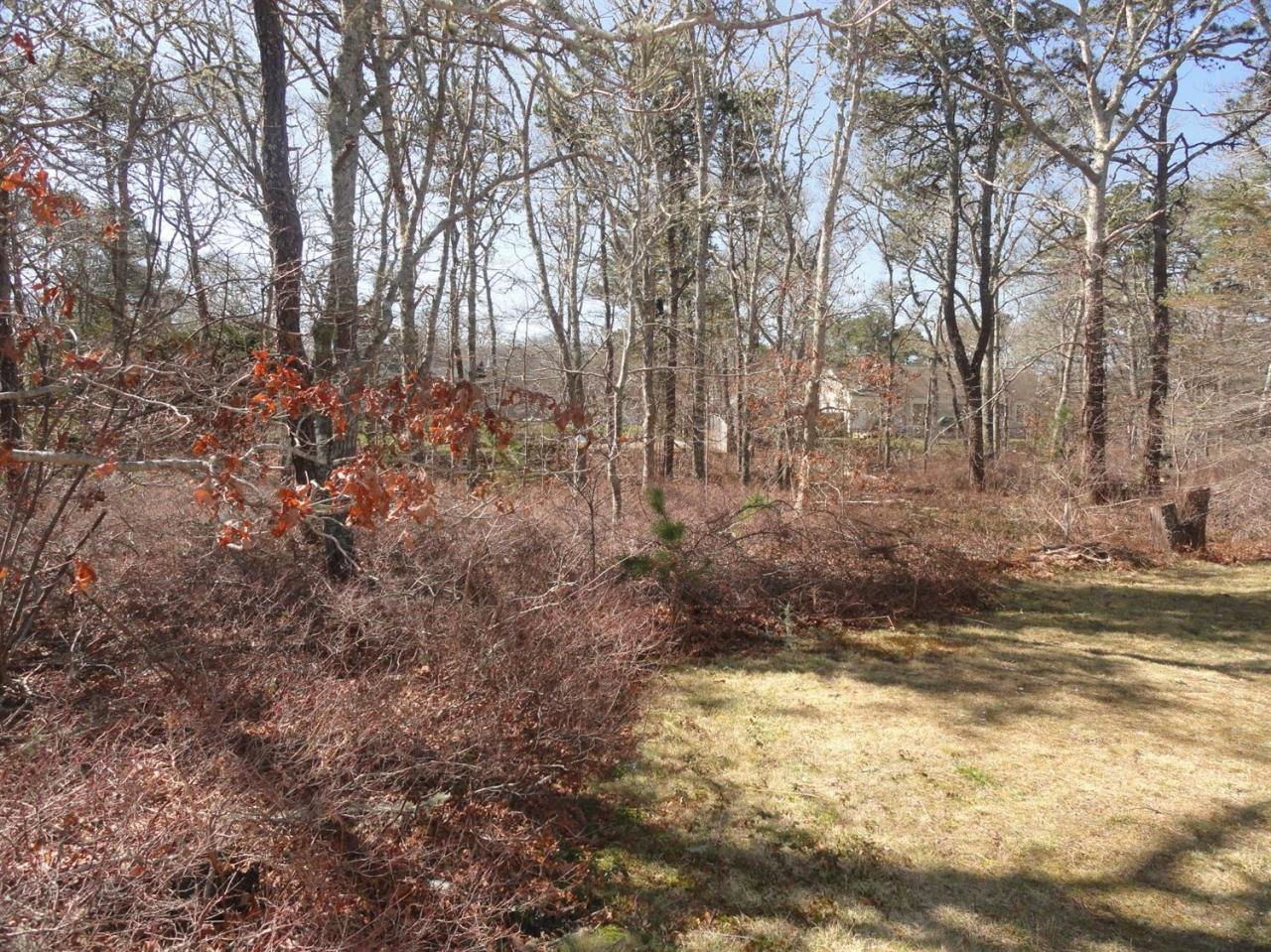 53 Bay Road Harwich, MA 02645 - Photo 20 of 21 Additional Photo