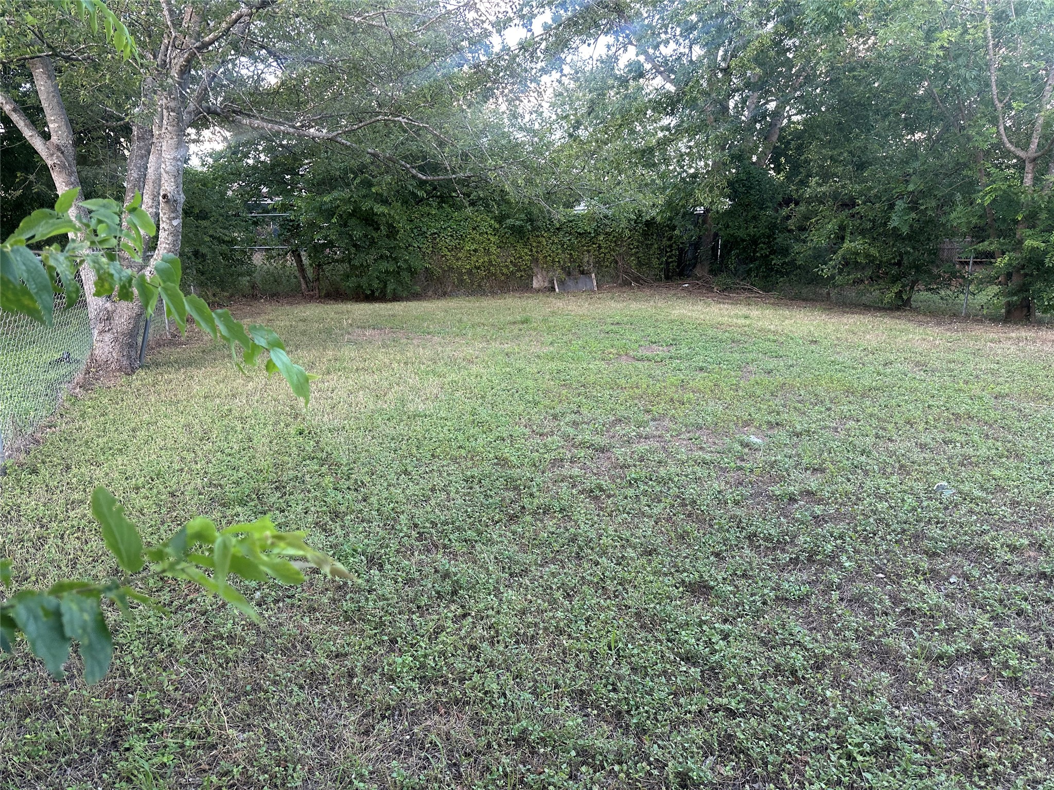2602 South Bagdad Road, Unit A Leander, TX 78641 - Photo 25 of 26 A verdant, open lot, offering a natural canvas for your vision of home.