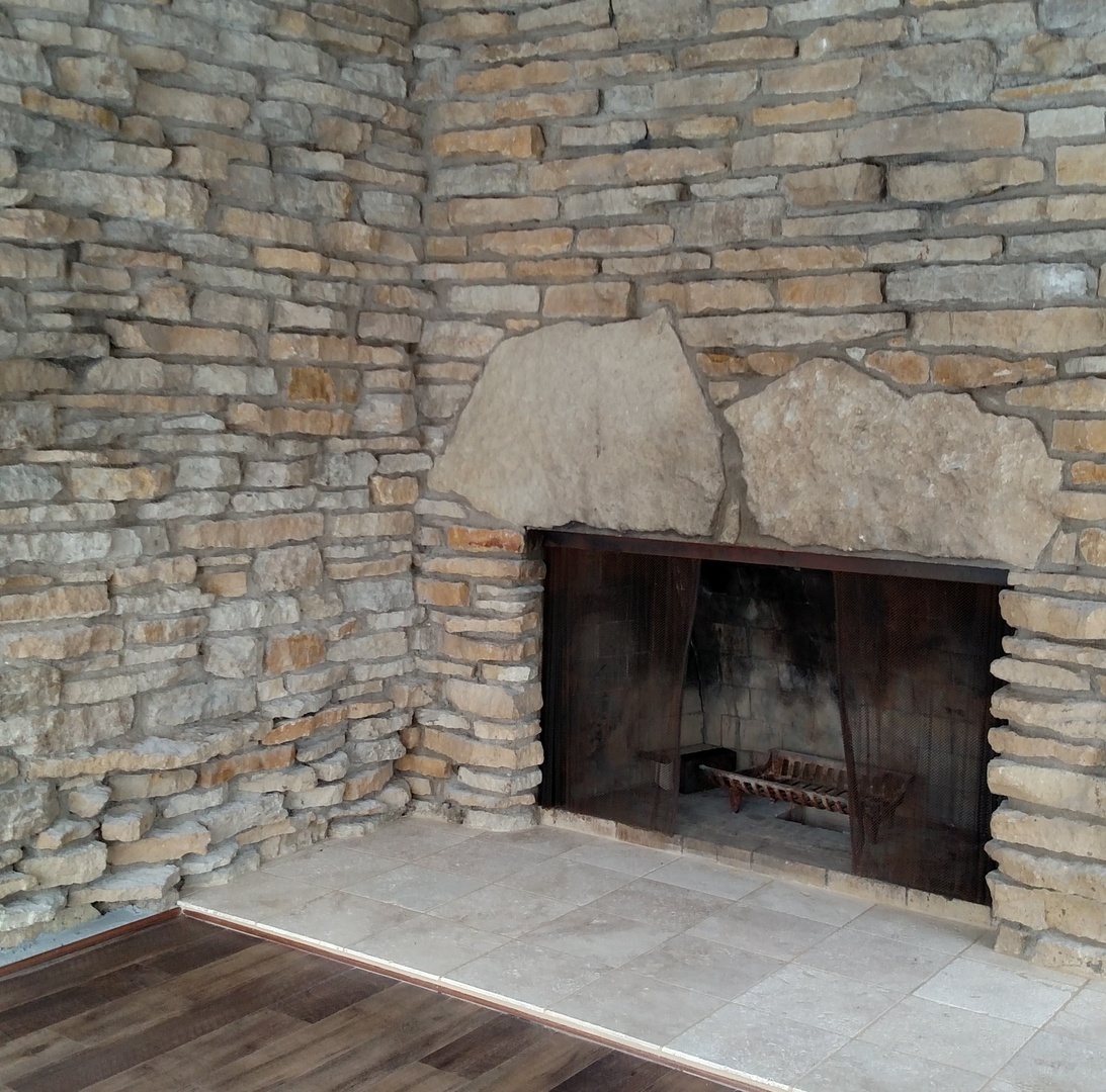 103 Crabtree Road East Dundee, IL 60118 - Photo 12 of 50 a room with a wooden wall and a fireplace