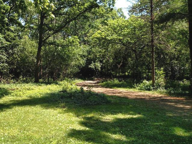 103 Crabtree Road East Dundee, IL 60118 - Photo 32 of 50 a view of a yard