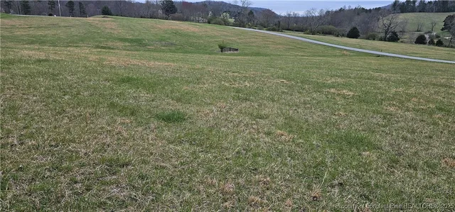a view of a field with an trees
