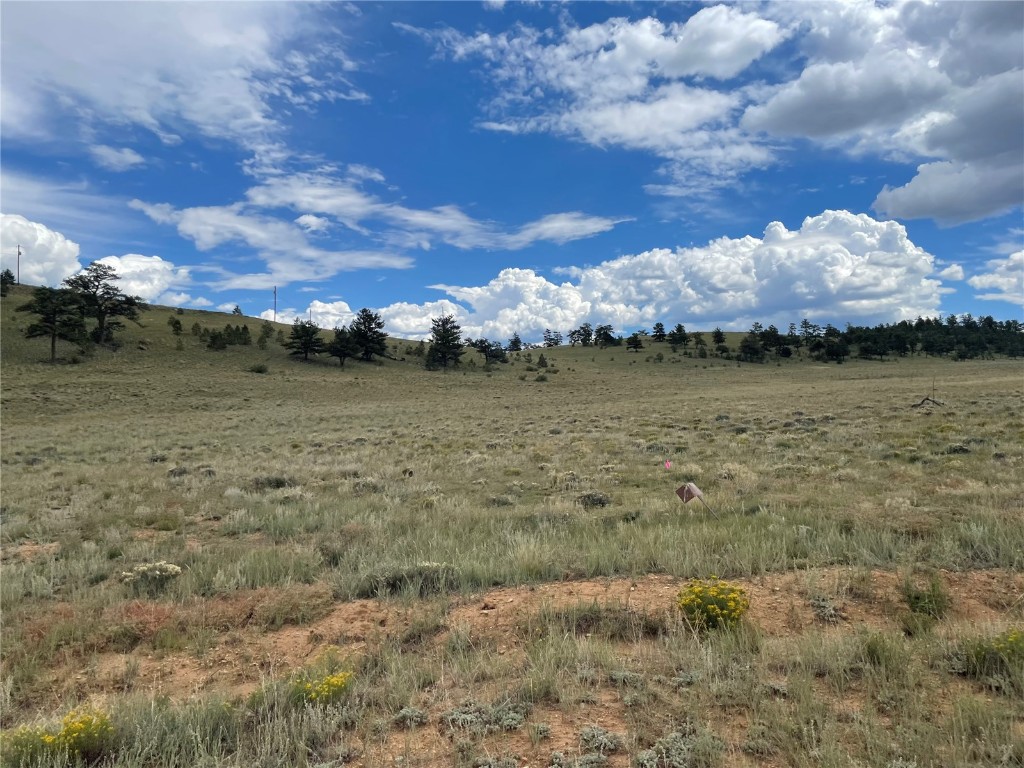 0 Shavano Road Hartsel, CO 80449 - Photo 5 of 8 a view of a lake with a yard