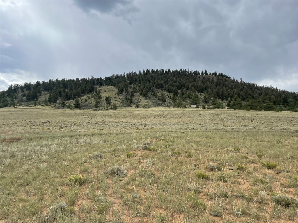 0 Shavano Road Hartsel, CO 80449 - Photo 7 of 8 a view of field with trees in background