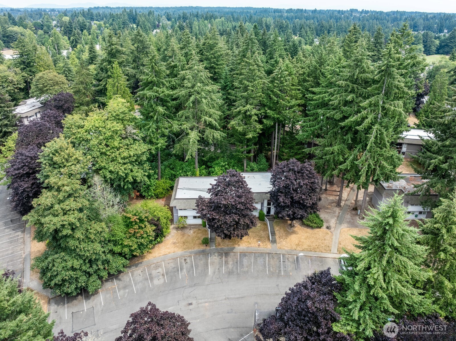 4601 Southwest 320th Street, Unit L6 Federal Way, WA 98023 - Photo 19 of 22 an outdoor view with patio