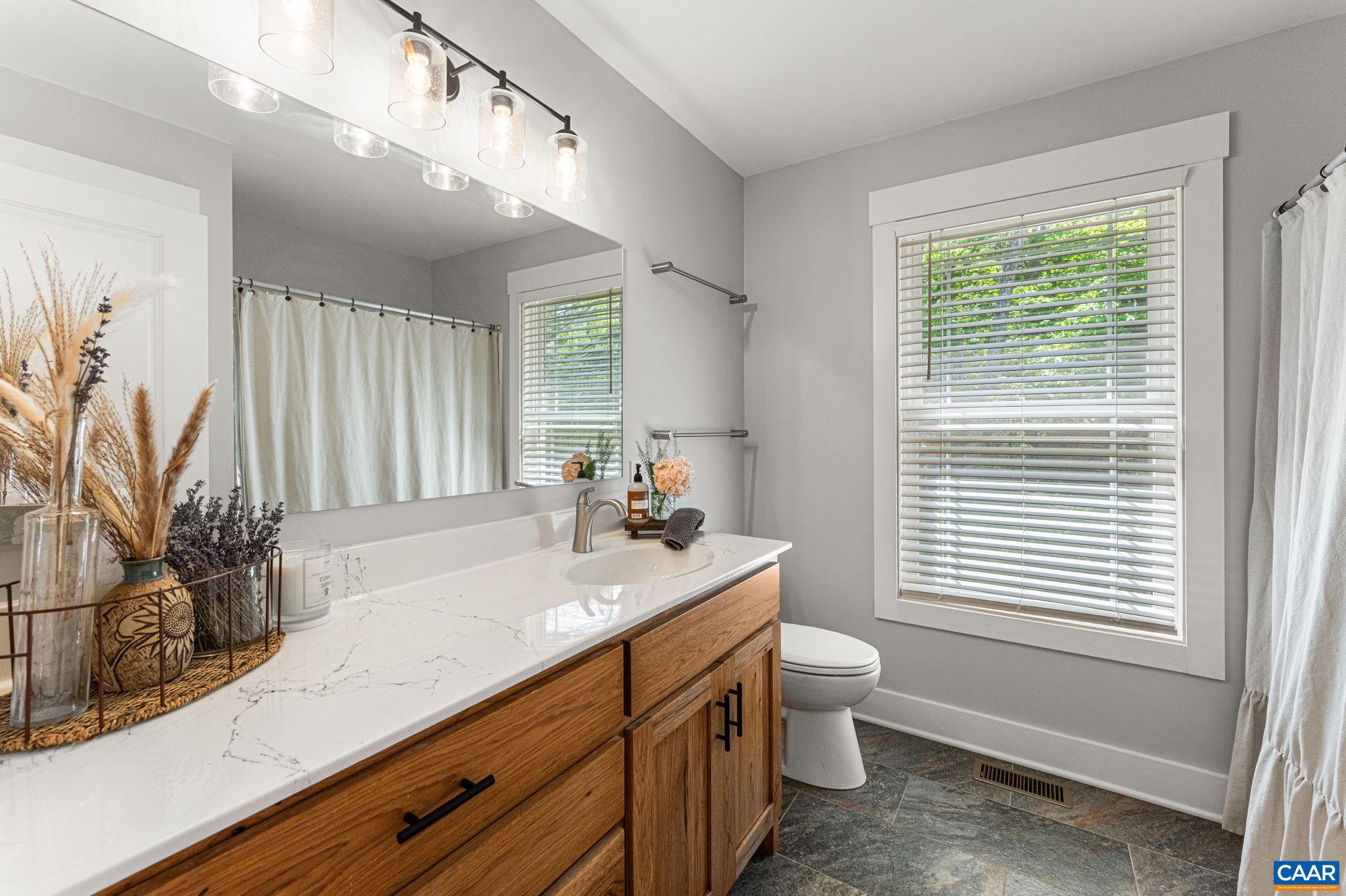 230 Fox Hollow Road Ruckersville, VA 22968 - Photo 28 of 42 a bathroom with a sink a toilet and a window