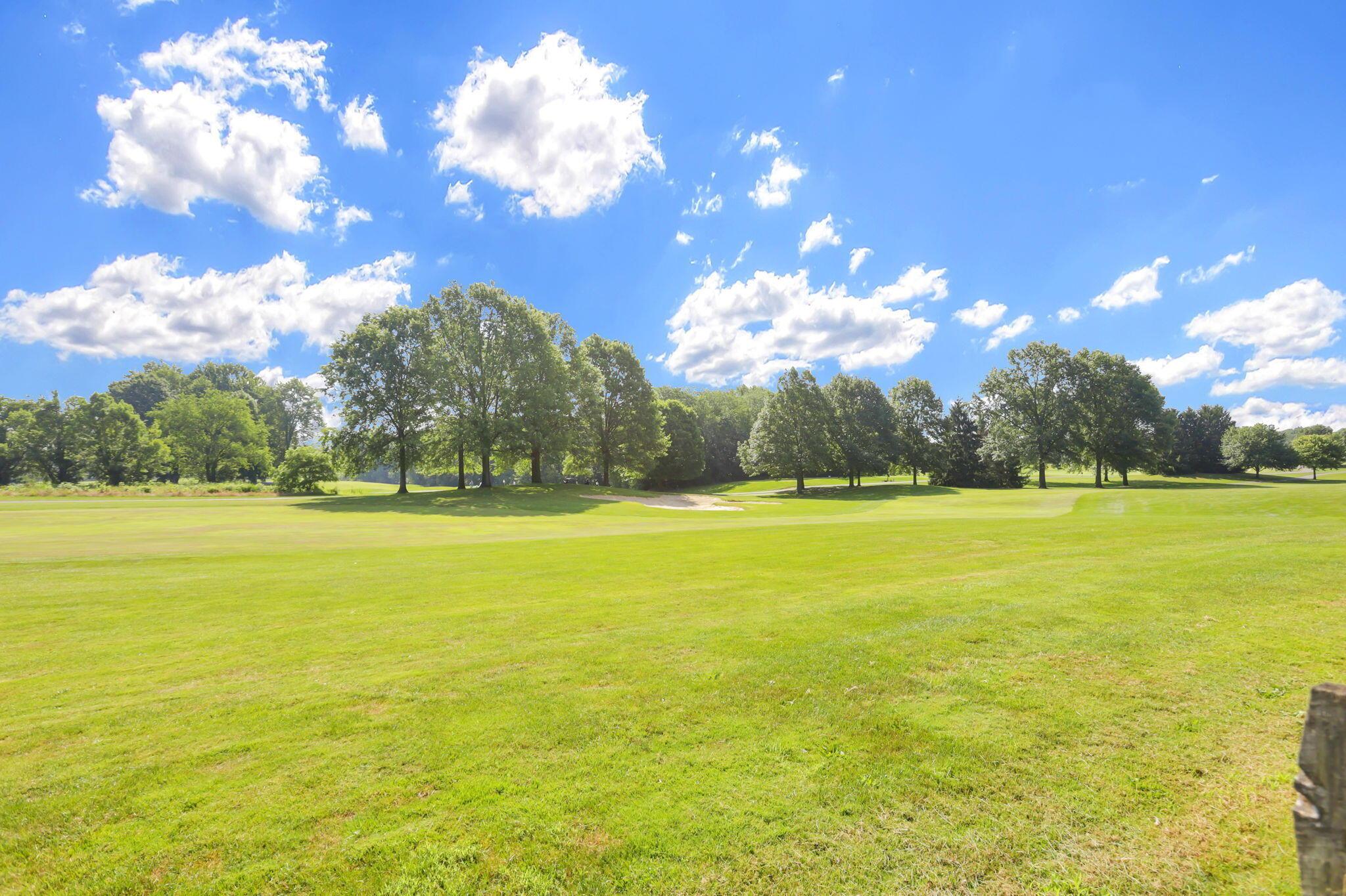 274 North Galena Road Sunbury, OH 43074 - Photo 51 of 61 55-web-or-mls-0D3A9988