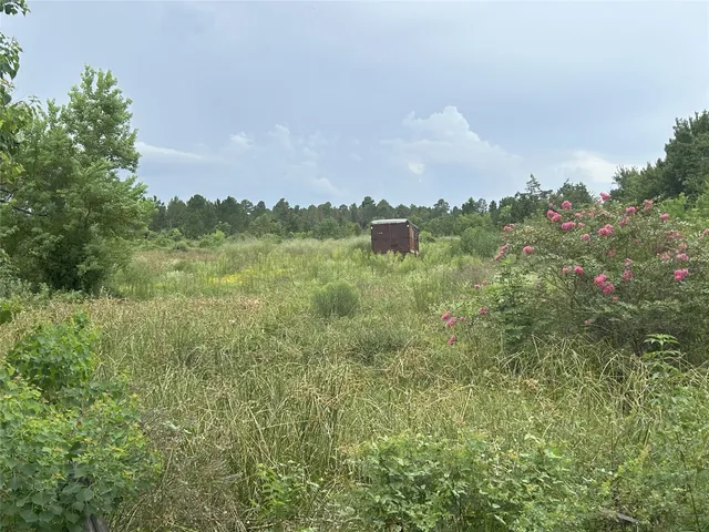 $412,500 | 29913 A Waller Spring Creek Road, Waller, TX 77484