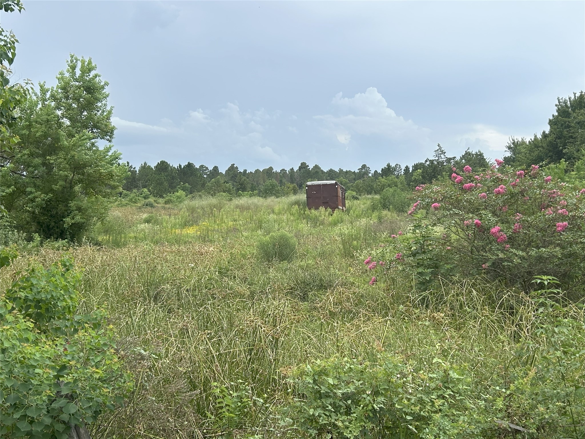 29913 A Waller Spring Creek Road Waller, TX 77484 - Photo 2 of 5