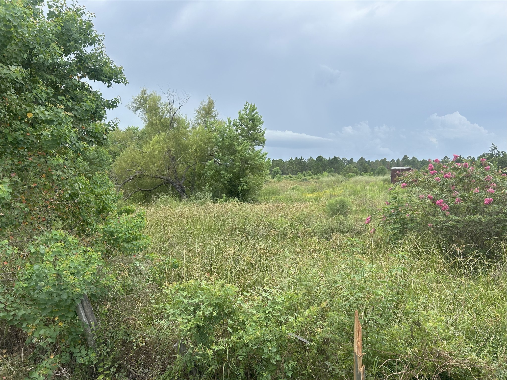 29913 A Waller Spring Creek Road Waller, TX 77484 - Photo 3 of 5