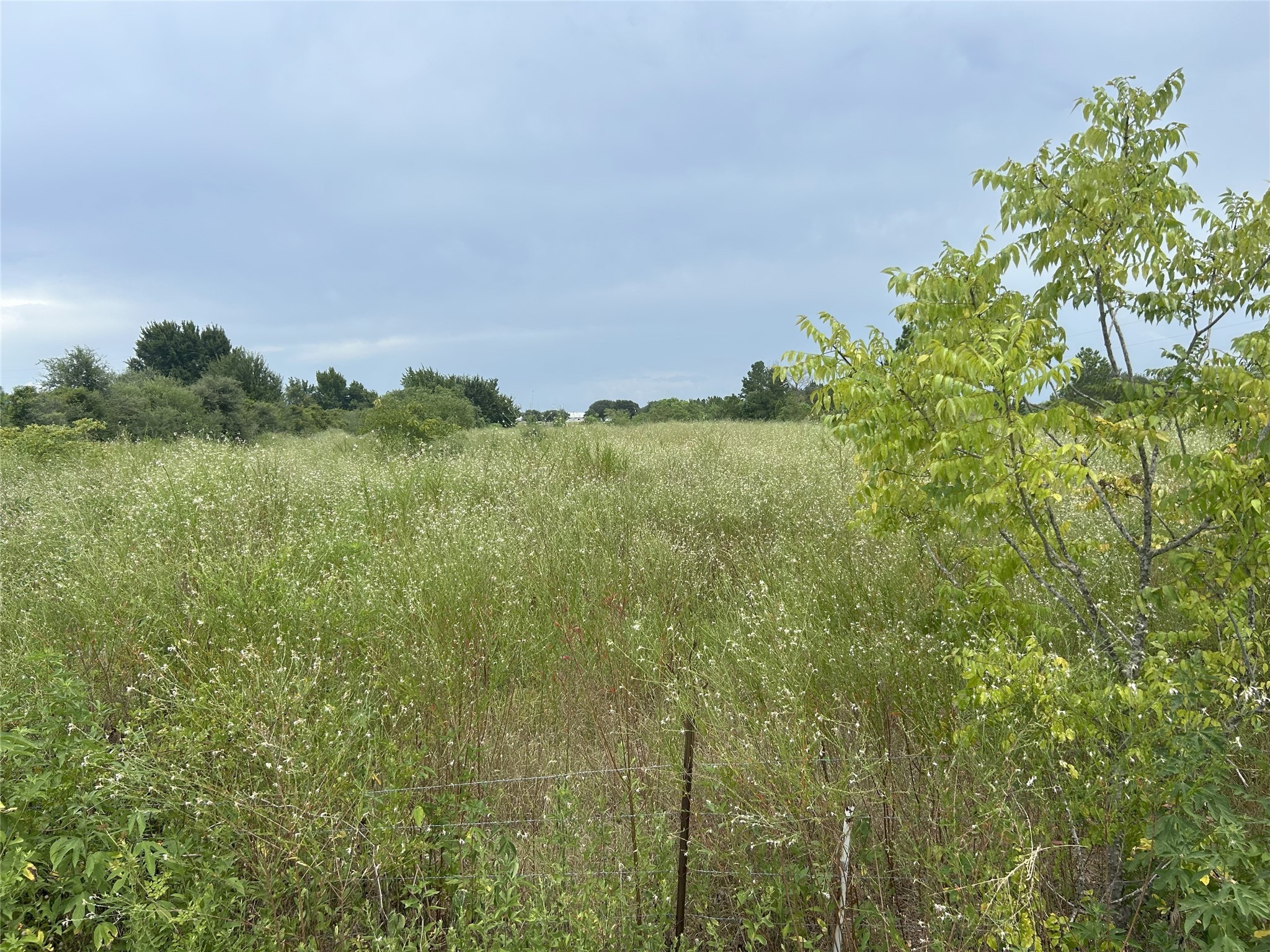 29913 A Waller Spring Creek Road Waller, TX 77484 - Photo 4 of 5