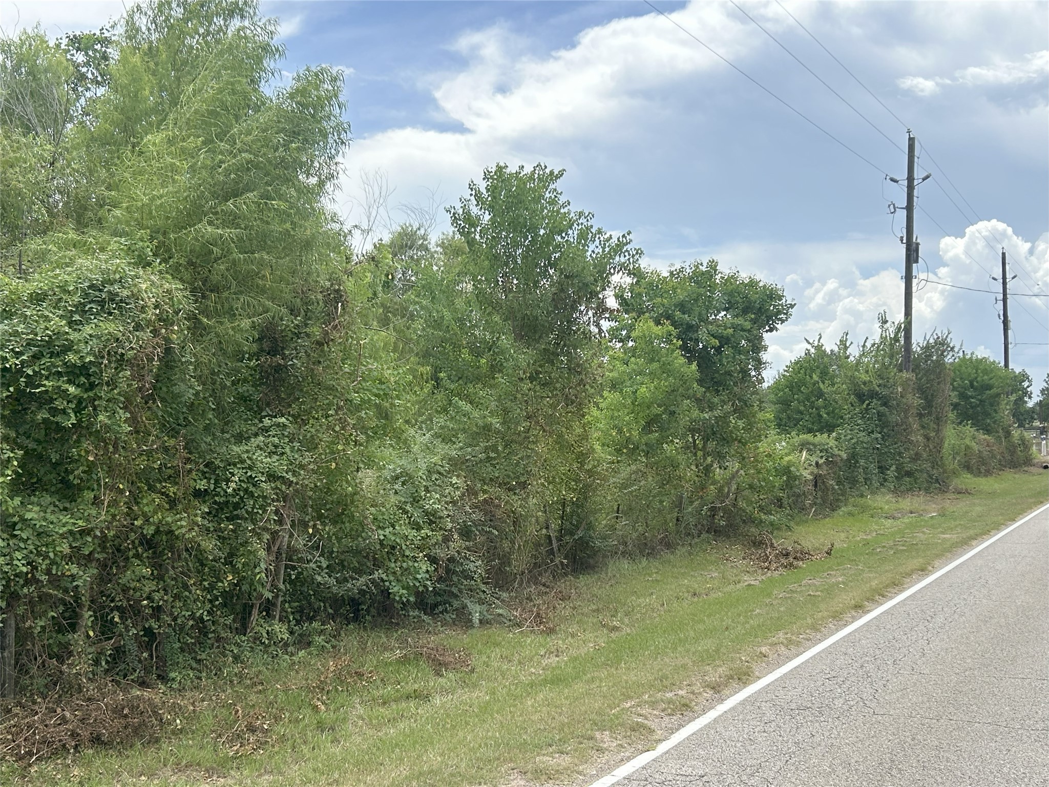 29913 A Waller Spring Creek Road Waller, TX 77484 - Photo 5 of 5