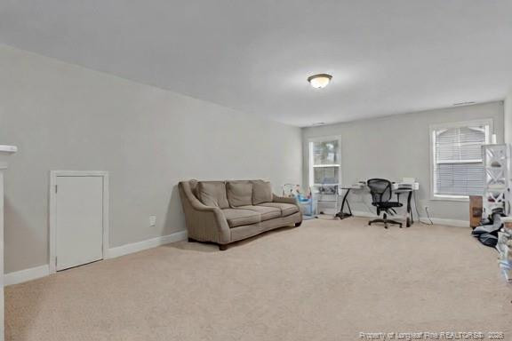 220 Parrish Lane Carthage, NC 28327 - Photo 28 of 40 Photo 28