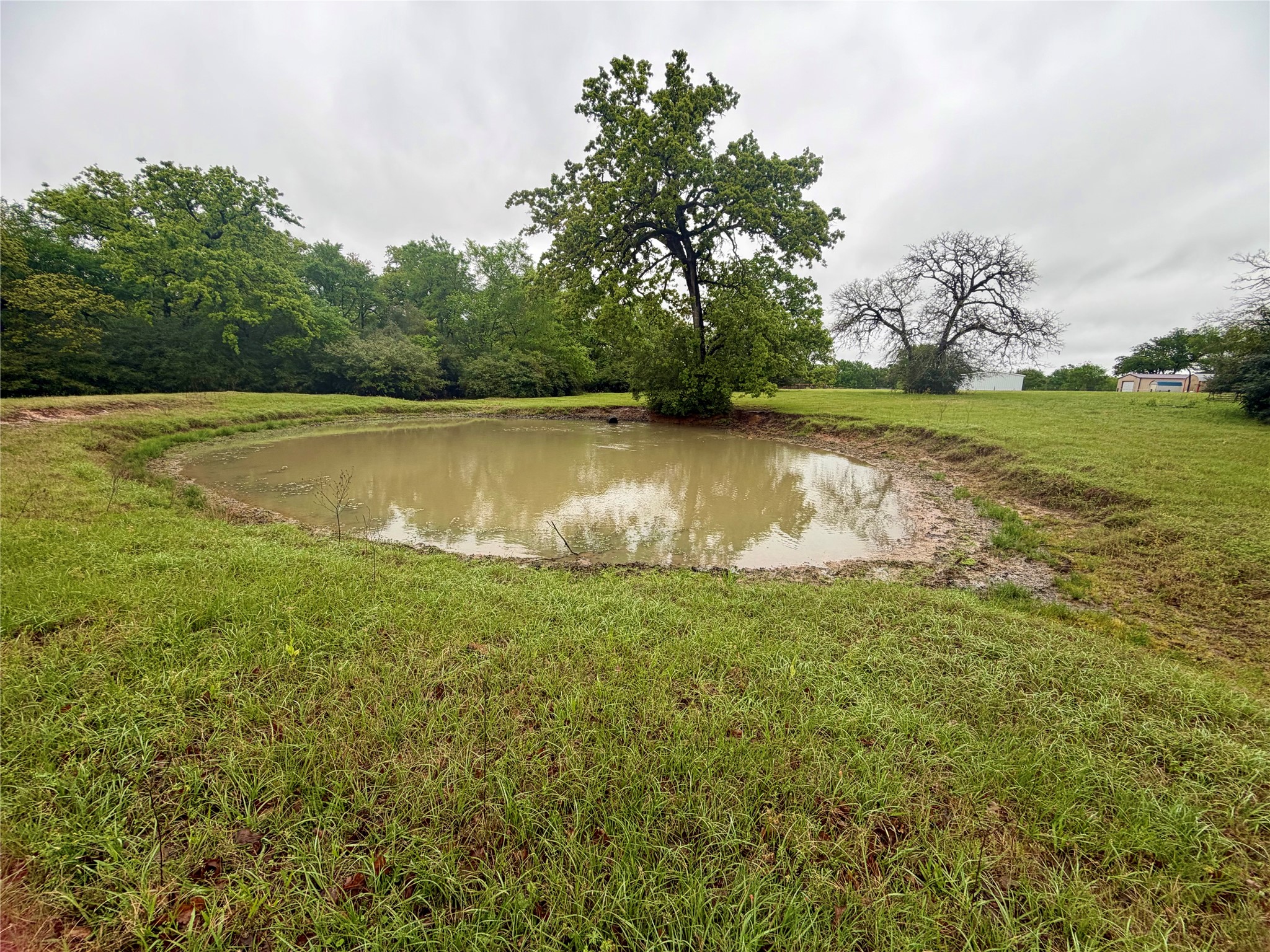 18043 Sterling Robertson Dam Road Thornton, TX 76687 - Photo 25 of 28 Nice pond for animals