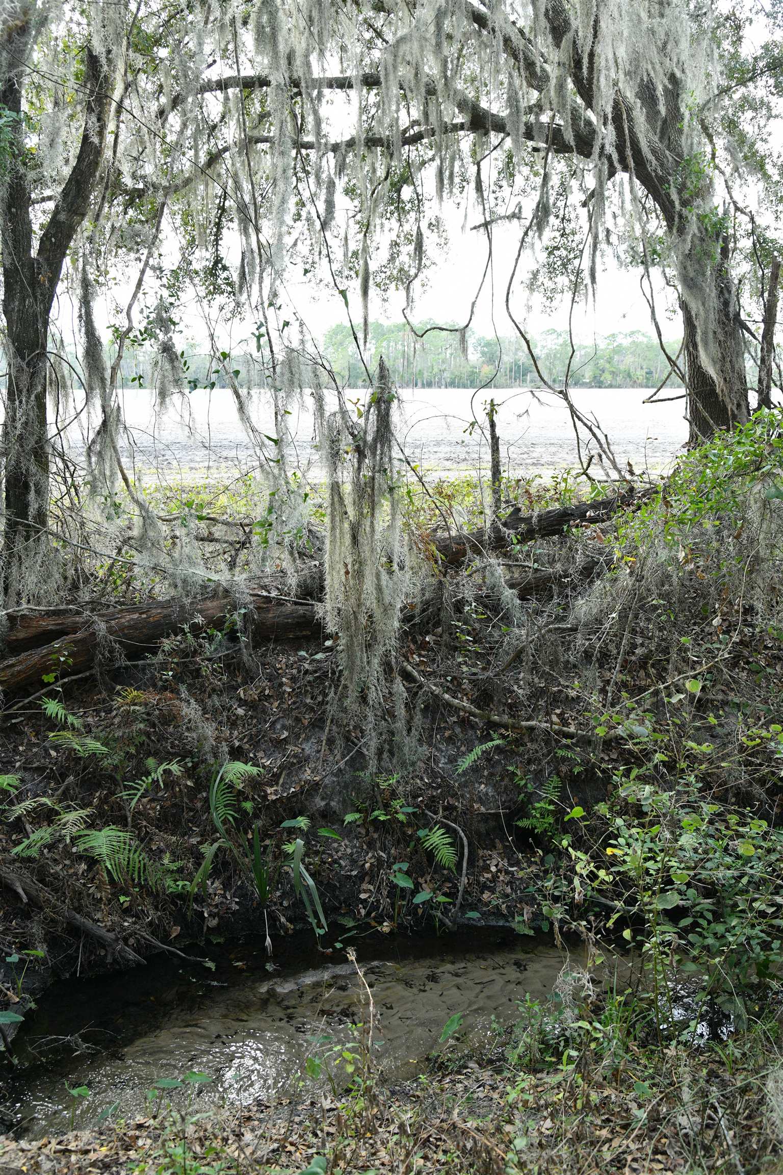 130 Fulwood Road East Palatka, FL 32131 - Photo 41 of 52