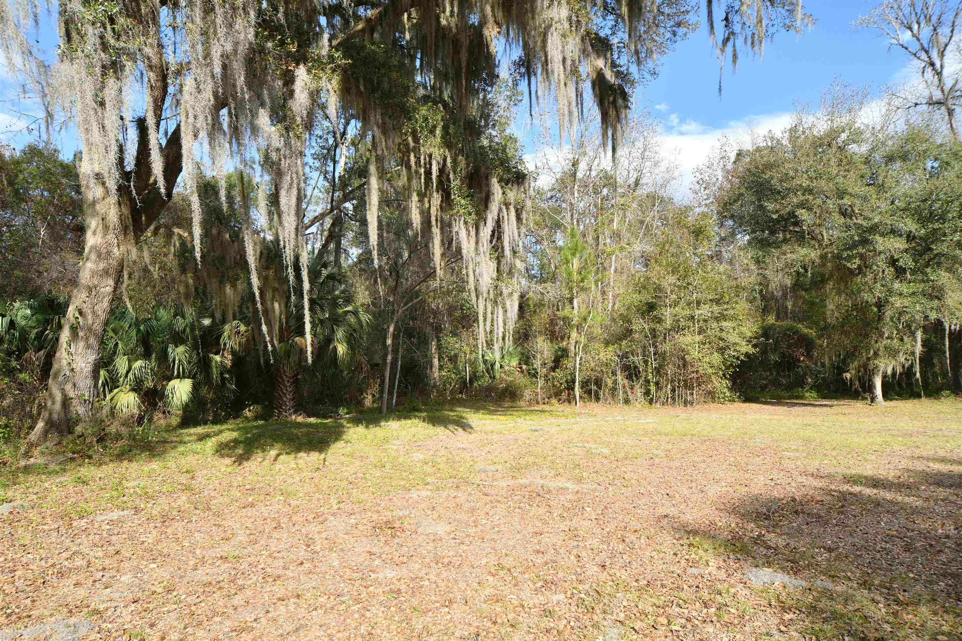 130 Fulwood Road East Palatka, FL 32131 - Photo 9 of 52