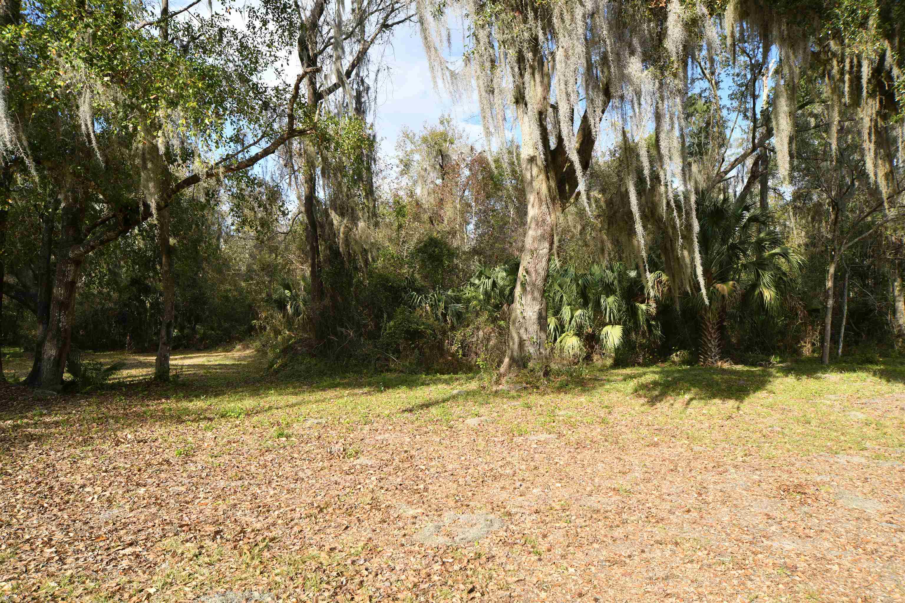 130 Fulwood Road East Palatka, FL 32131 - Photo 10 of 52