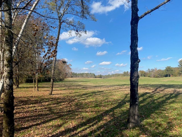 0 Athens Road Calhoun, TN 37309 - Photo 5 of 25
