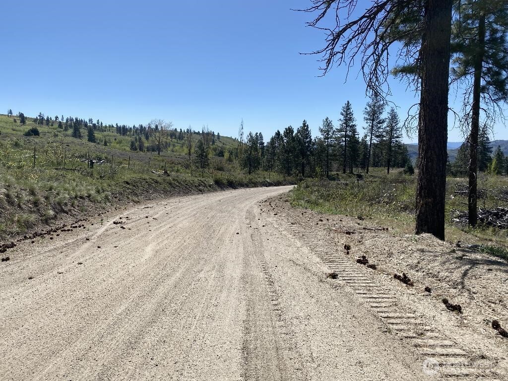 123-tbd Buzzard Lake Road Okanogan, WA 98840 - Photo 5 of 15