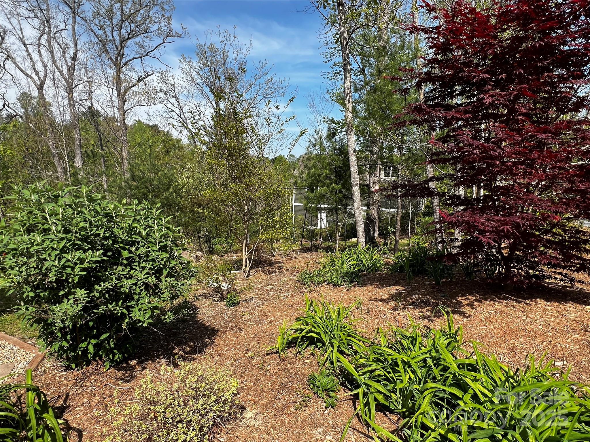 73 Wisdom Cove Road Flat Rock, NC 28731 - Photo 33 of 41