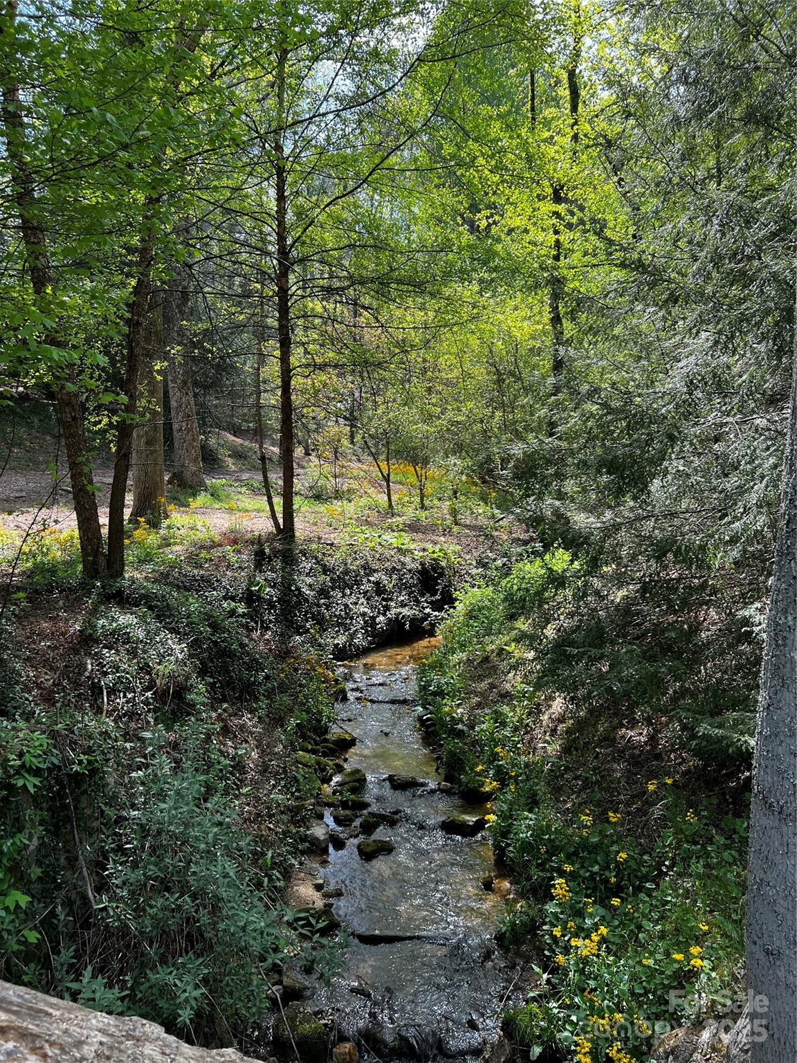 73 Wisdom Cove Road Flat Rock, NC 28731 - Photo 37 of 41 a view of a forest with trees