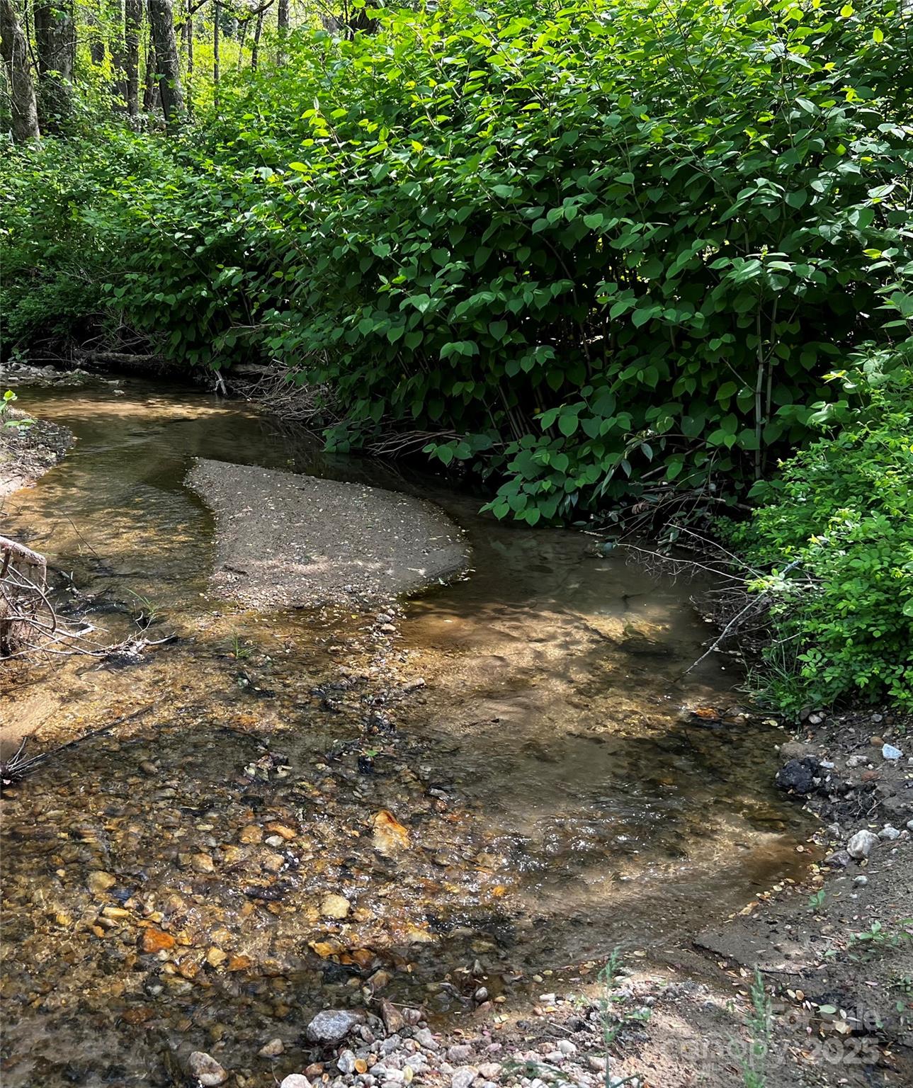 73 Wisdom Cove Road Flat Rock, NC 28731 - Photo 38 of 41 a view of a yard with plants and a trees