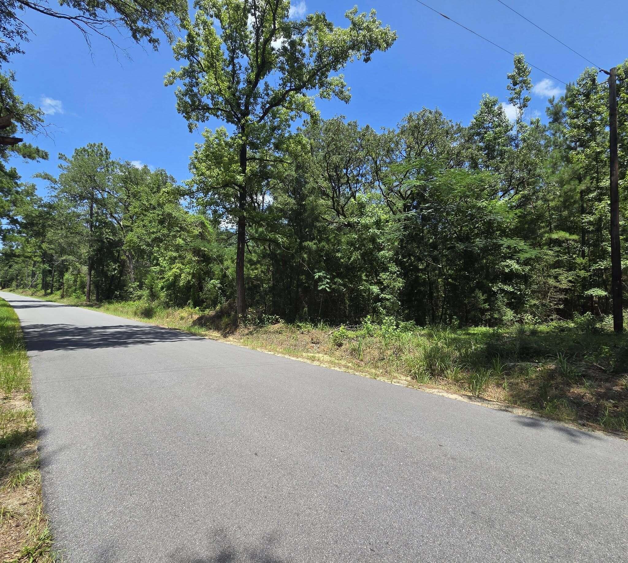 3389 Gainer Road Chipley, FL 32428 - Photo 14 of 22 a view of a field with plants and trees