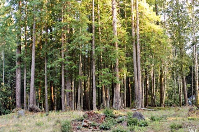22086 Ruoff Road Timber Cove, CA 95450 - Photo 1 of 1 Beautiful ±0.96 acre level building site located in Timber Cove on the Sonoma County coast. Water is available!