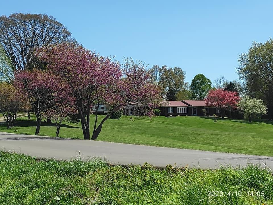 115 3 Springs Road Somerset, KY 42503 - Photo 7 of 15 35